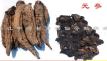 中药玄参,清热凉血、滋阴降火的中药宝库