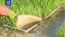 独家调查丨上万亩水稻为何无水可种？总台记者追踪安徽蚌埠秧苗成批死亡真相2025年6月20日蚌埠市怀远荆涂医院被拍卖
