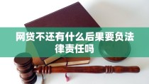 网贷四年不还的后果网贷不还有什么后果要负法律责任吗