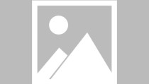 2025山东青岛市市南区选聘师范类卒业生体检事宜通告（宝马x1奈何放倒后座）