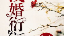 浅婚衍衍 小说,爱在婚姻边缘的甜蜜纠葛