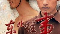 东北往事之黑道风云20年有声小说,东北往事20年有声小说，揭秘东北黑道传奇