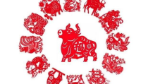 1949年是什么生肖,金猪迎春，新中国诞生之际