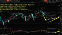 600135股票,小幅上涨，涨跌幅0.67%”
